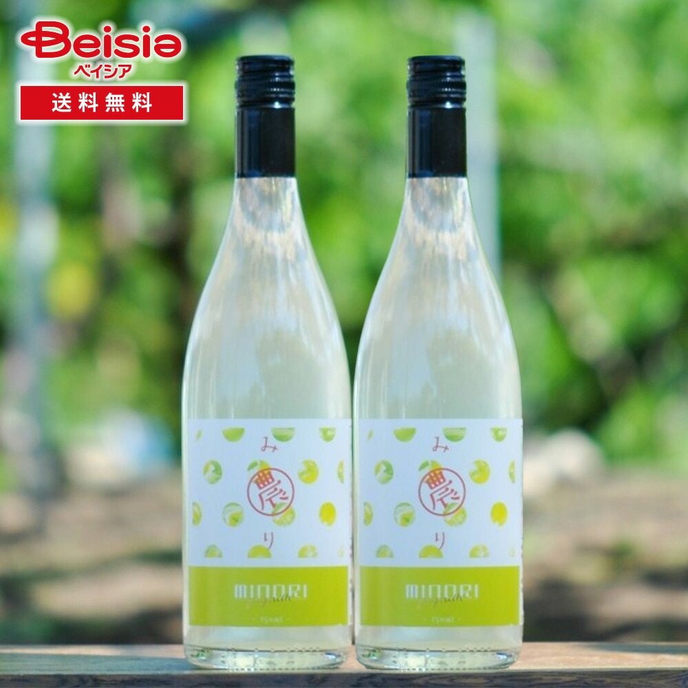 日本のちから 農(みのり)シャインマスカット果実酒 2022(Piquette)ニコニコ2本セット 750ml×2本セット