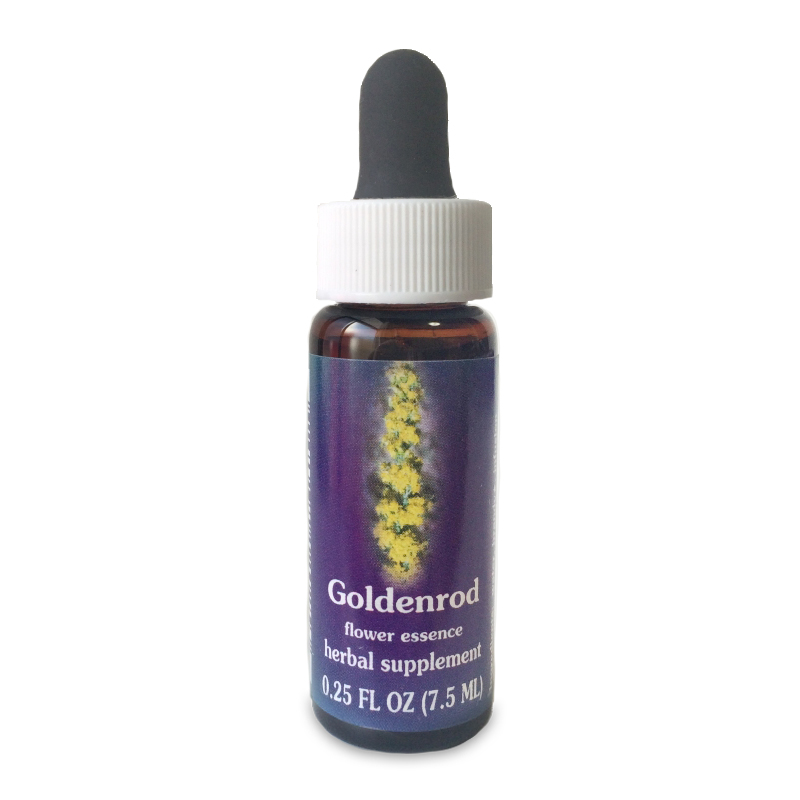 ゴールデンロッド 《FESフラワーエッセンス》 7.5ml（取り寄せ品）