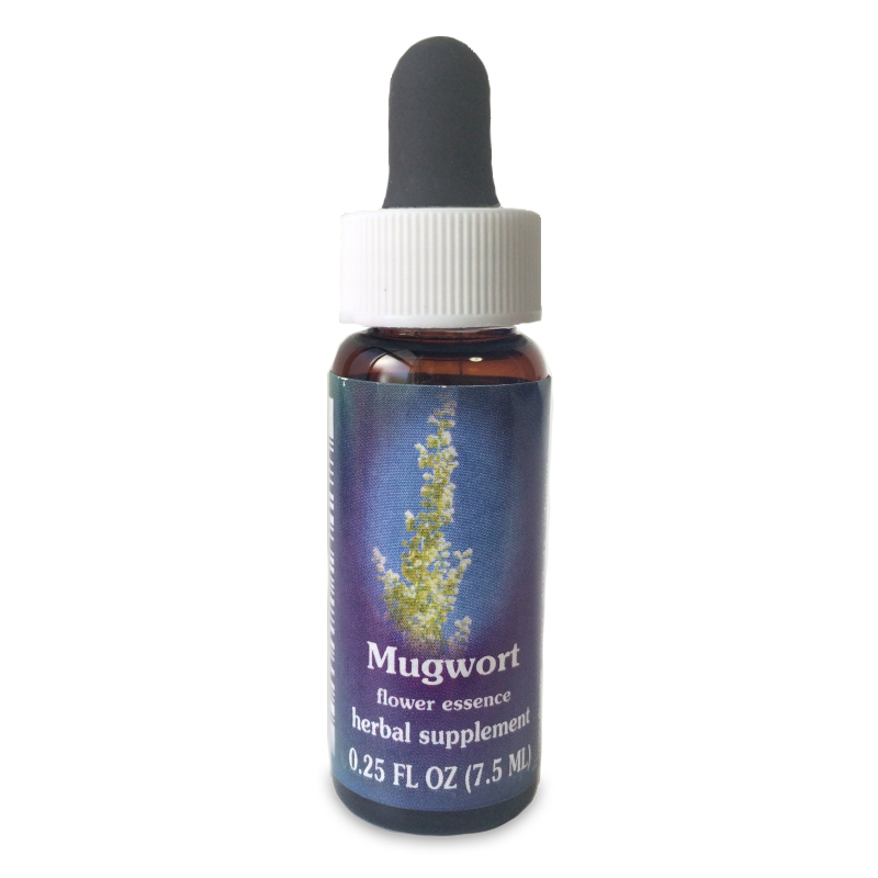 マグワート 《FESフラワーエッセンス》 7.5ml（取り寄せ品）