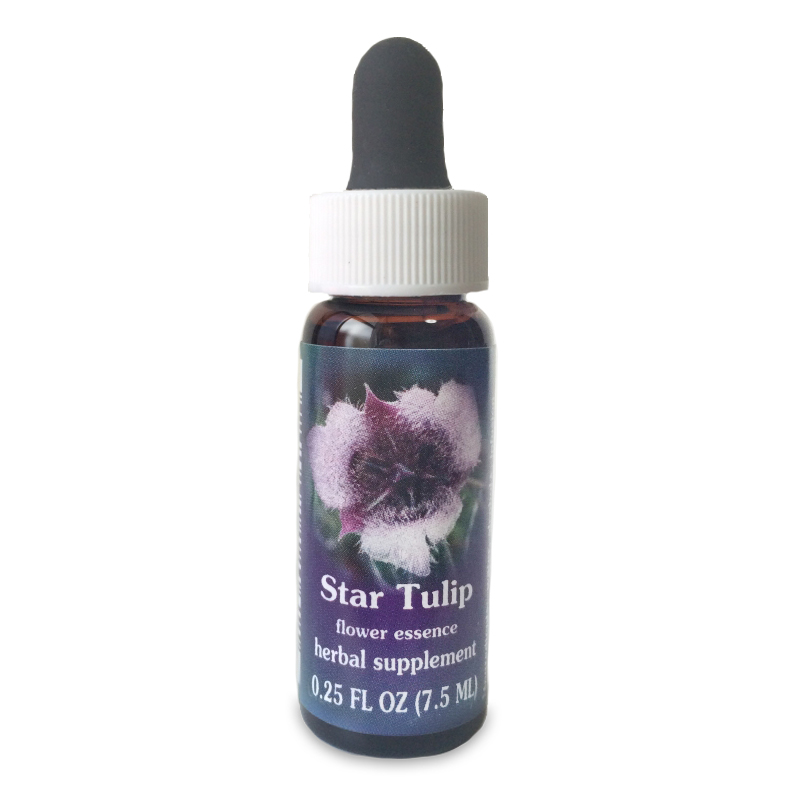 アンジェリカ 《FESフラワーエッセンス》 7.5ml（取り寄せ品