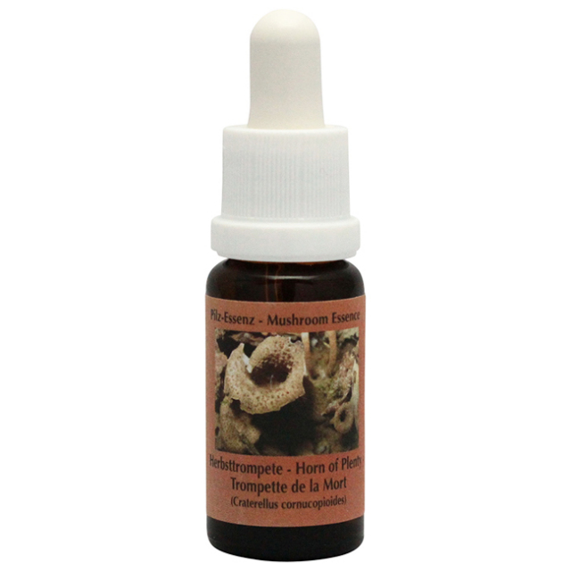 ホーンオブプレンティ《コルテPHIエッセンス》15ml｜フラワーレメディ
