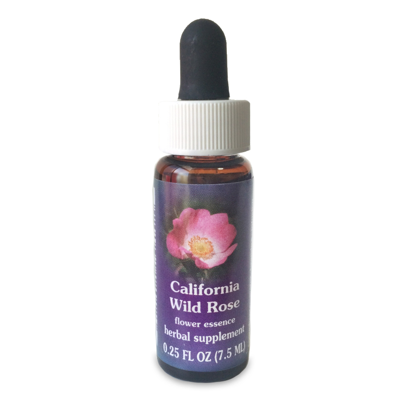 【専用】セントジョンズワート 　FESフラワーエッセンス 他4本 セントジョンズワート 《FESフラワーエッセンス》 30ml（取り寄せ品