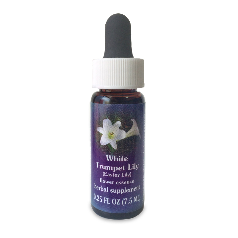 イースターリリー (ホワイトトランペットリリー) 《FESフラワーエッセンス》 7.5ml（取り寄せ品）