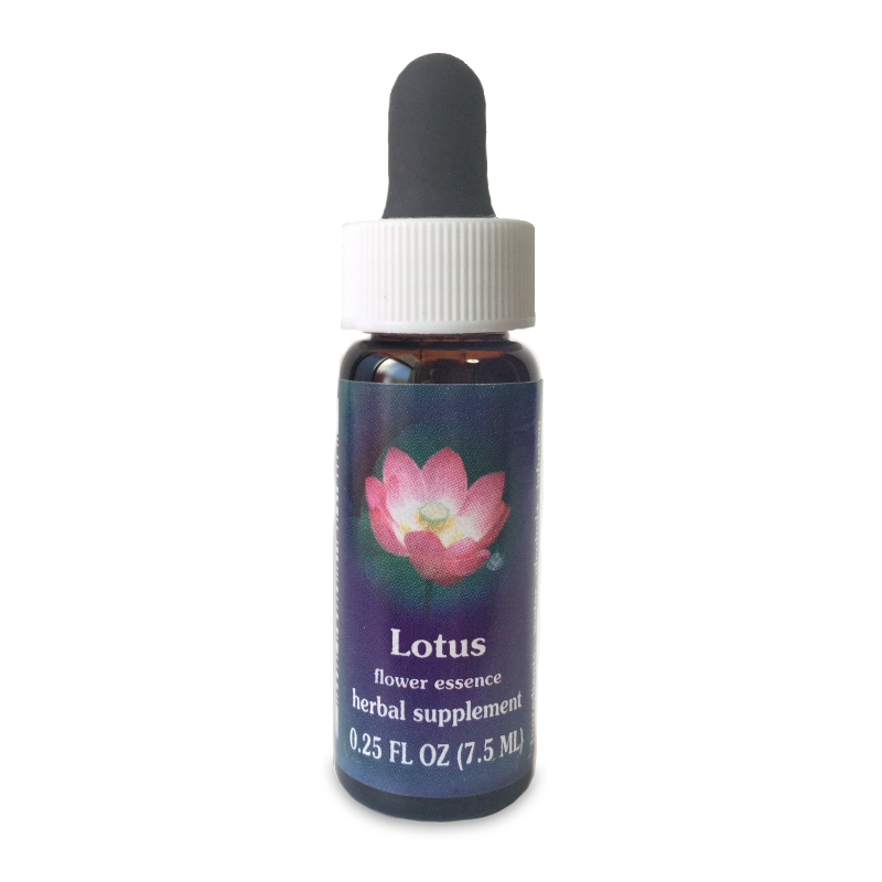 アンジェリカ 《FESフラワーエッセンス》 7.5ml（取り寄せ品
