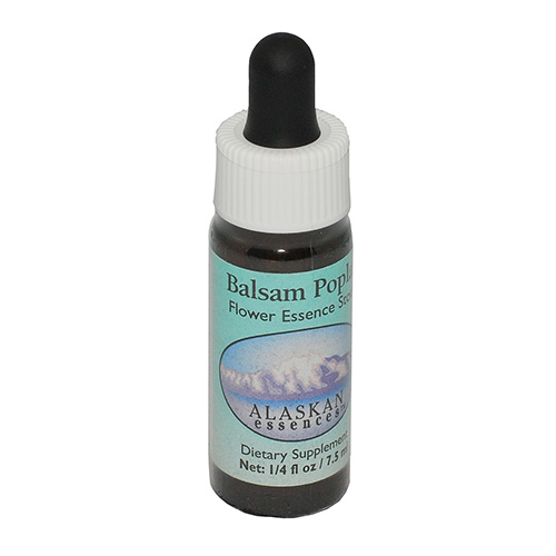 スプレー ガーディアン《アラスカンエッセンス》120ml｜フラワー