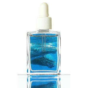 ホエール（表明） 《フローラコロナ》15ml