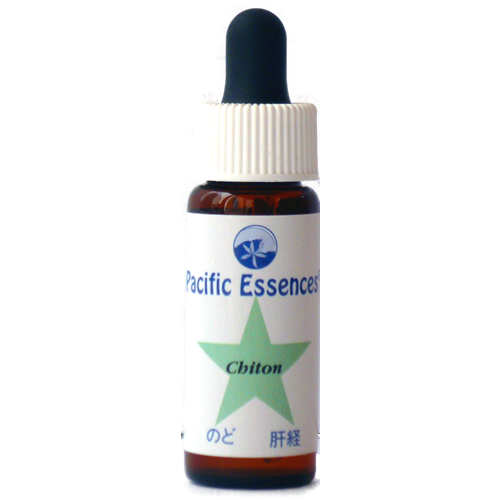カイトン 《パシフィックエッセンス》7.5ml
