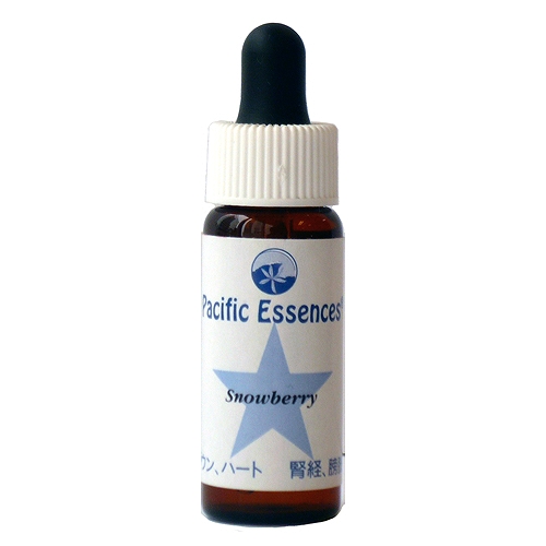 シルバーバーチ《パシフィックエッセンス》7.5ml｜フラワーレメディ