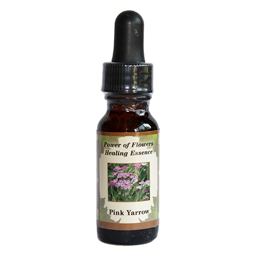ピンクヤロー《パワーオブフラワーヒーリングエッセンス》15ml