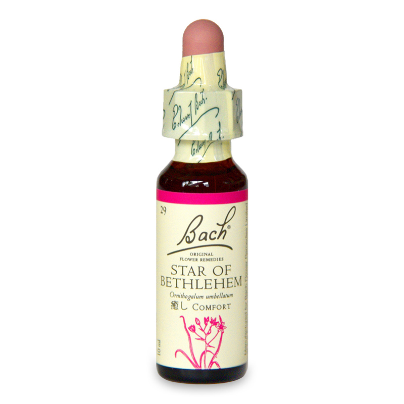 スターオブベツレヘム（癒し）《バッチフラワーレメディ》10ml