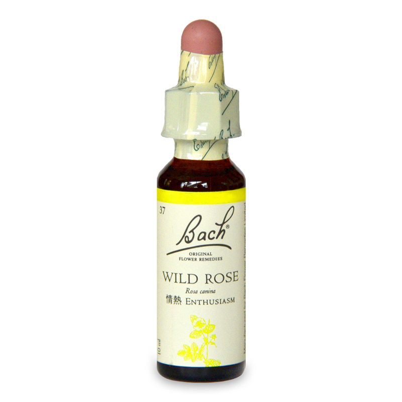 ワイルドローズ（情熱）《バッチフラワーレメディ》10ml