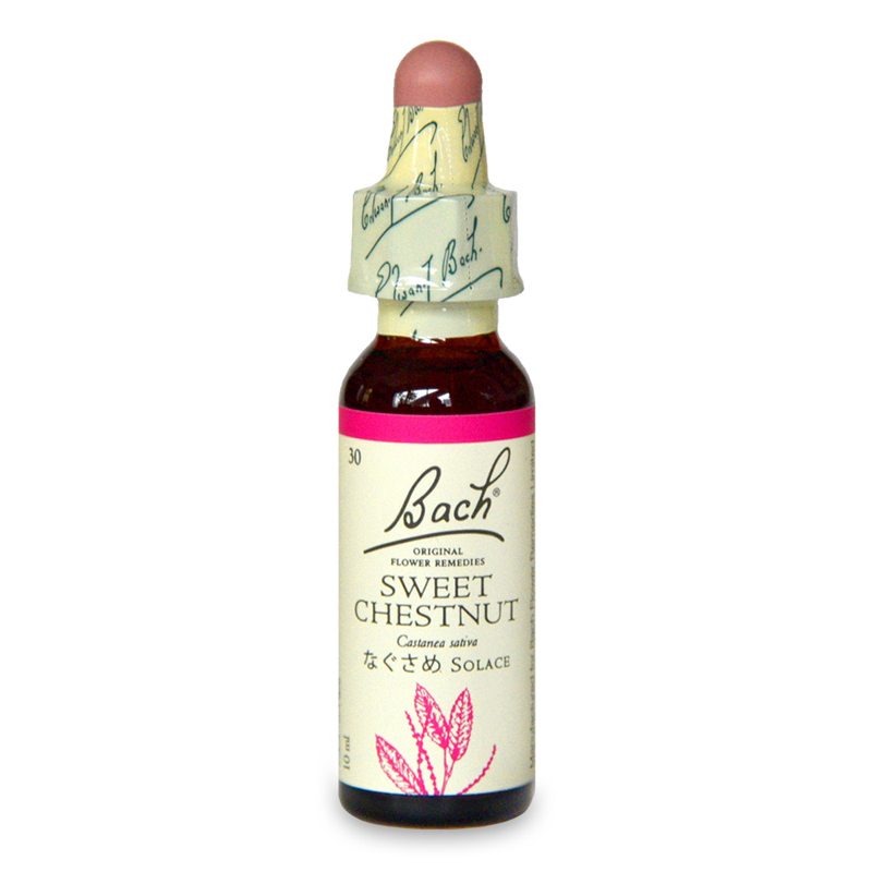スウィートチェストナット（なぐさめ）《バッチフラワーレメディ》10ml