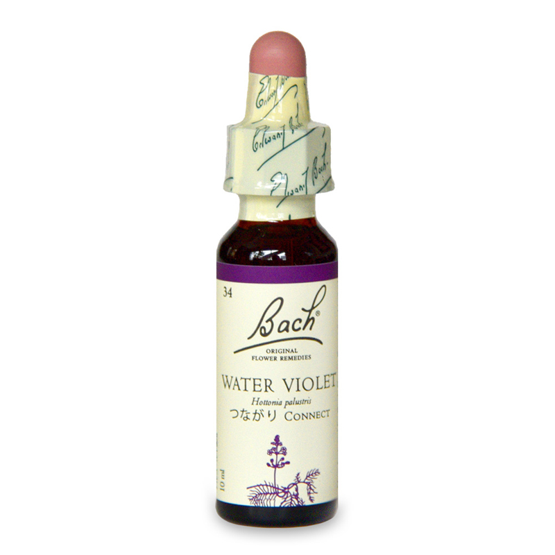 ウォーターバイオレット（つながり）《バッチフラワーレメディ》10ml