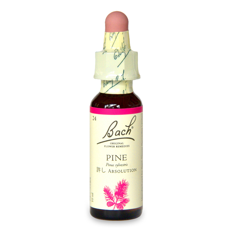 パイン（Pine）（許し）《バッチフラワーレメディ》10ml