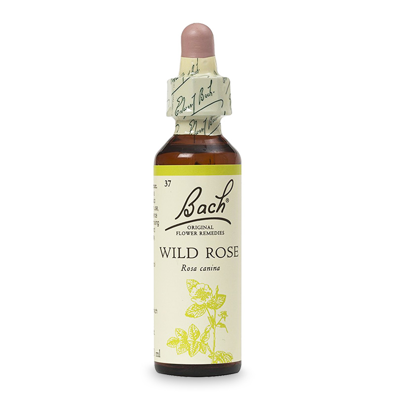 ワイルドローズ（情熱） アルコールベース《バッチフラワーレメディ》20ml