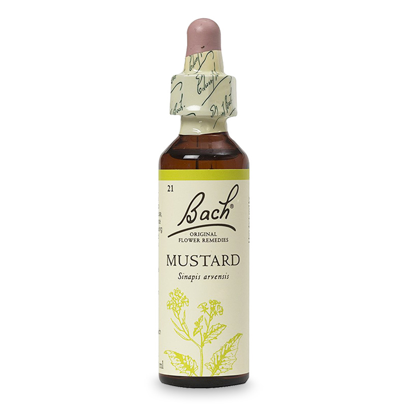 マスタード（明るさ） アルコールベース《バッチフラワーレメディ》20ml