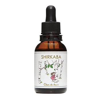 白樺フラワーエッセンス《シャンドゥルール》20ml