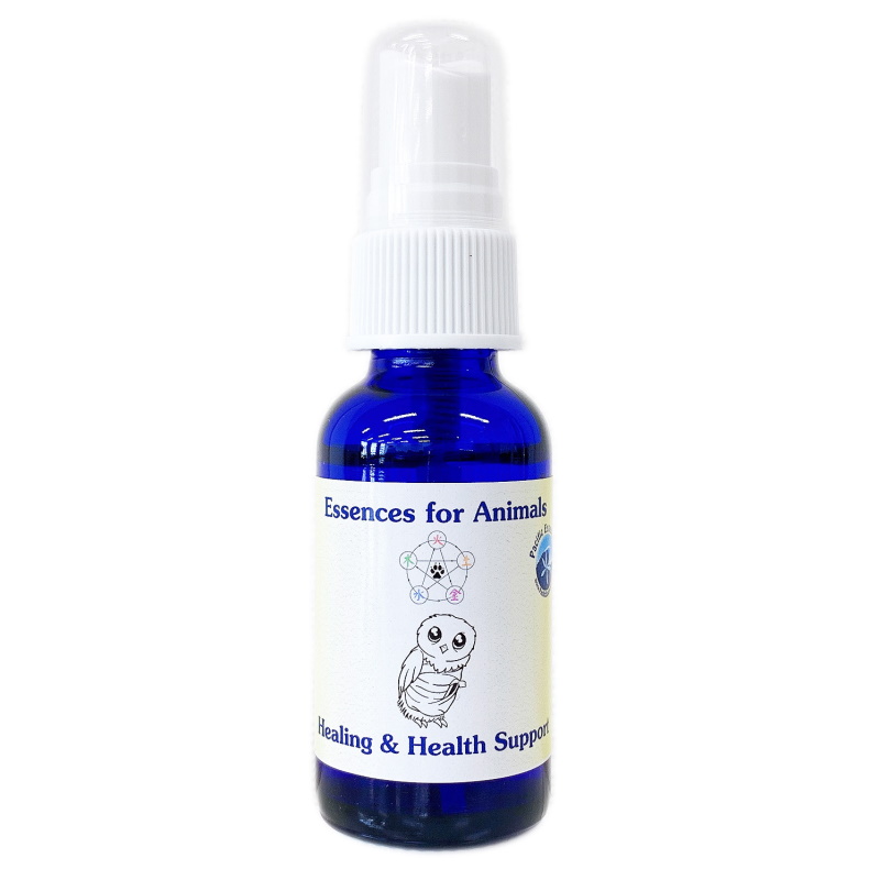 ヒーリングアンドヘルスサポート（ヒーリングと健康のサポート）スプレー《パシフィックエッセンス》30ml