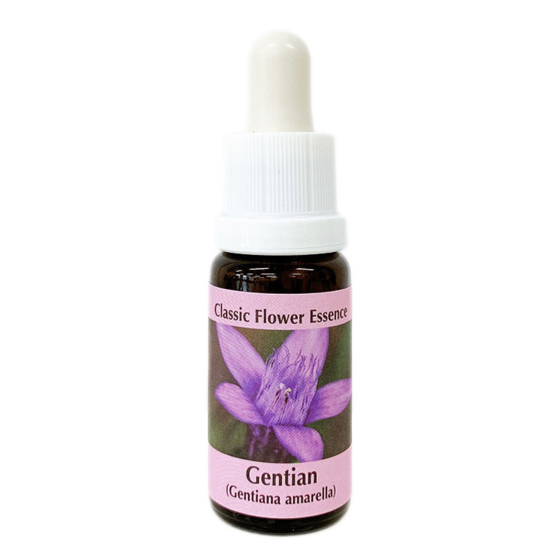 RQ7 エッセンス《コルテPHIエッセンス》15ml｜フラワーレメディ【公式】