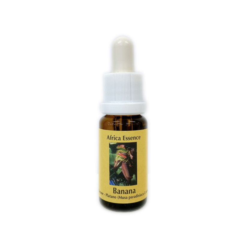 バナナ《コルテPHIエッセンス》15ml