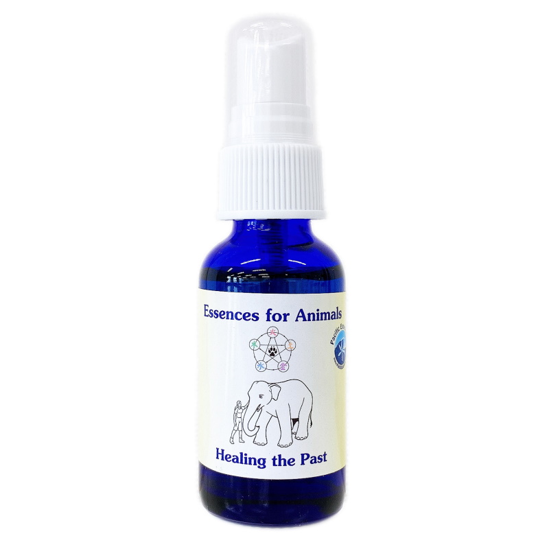 ヒーリングザパスト（過去を癒す）スプレー《パシフィックエッセンス》30ml