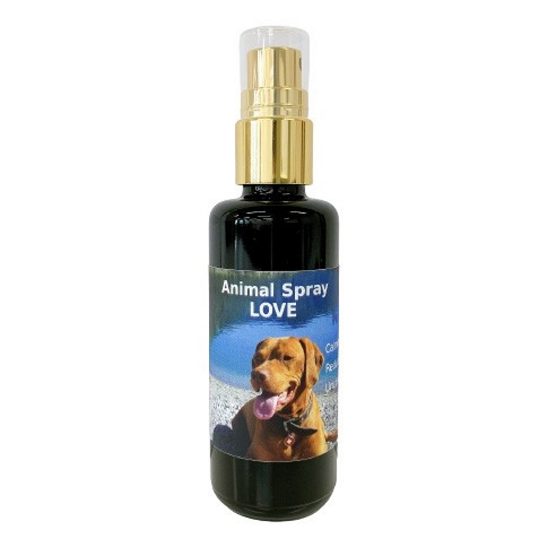 コルテPHIエッセンス｜フラワーレメディ【公式】