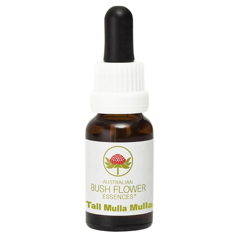 トールムラムラ《オーストラリアンブッシュ フラワーエッセンス》15ml
