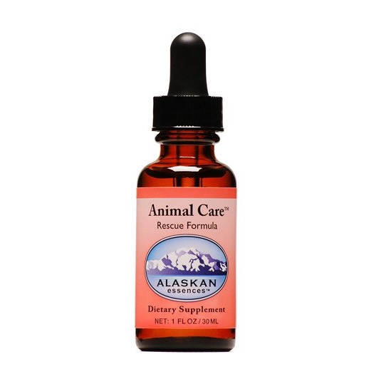 ピュリフィケーション《アラスカンエッセンス》7.5ml｜フラワー