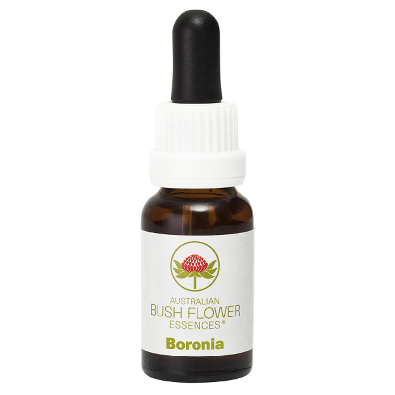 ボロニア《オーストラリアンブッシュ フラワーエッセンス》15ml