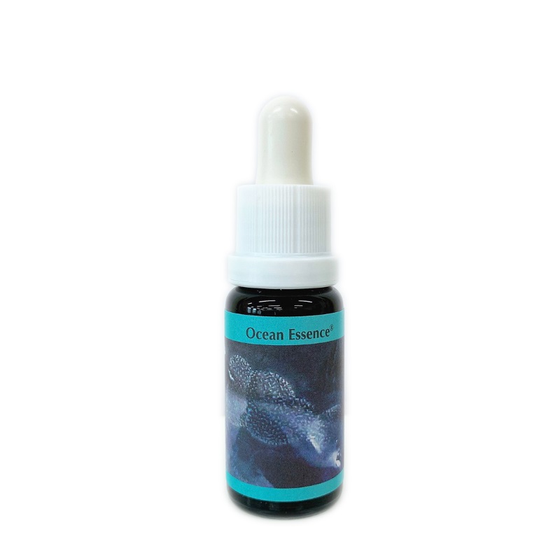 オーシャンエッセンス No1《コルテPHIエッセンス》15ml｜フラワー