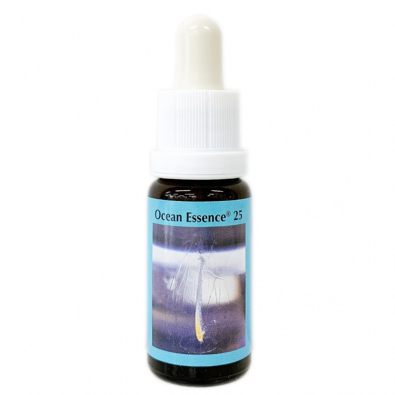 オーシャンエッセンス No40《コルテPHIエッセンス》15ml｜フラワー