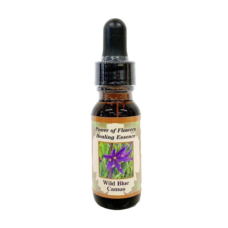 マスタード《パワーオブフラワーヒーリングエッセンス》15ml｜フラワー