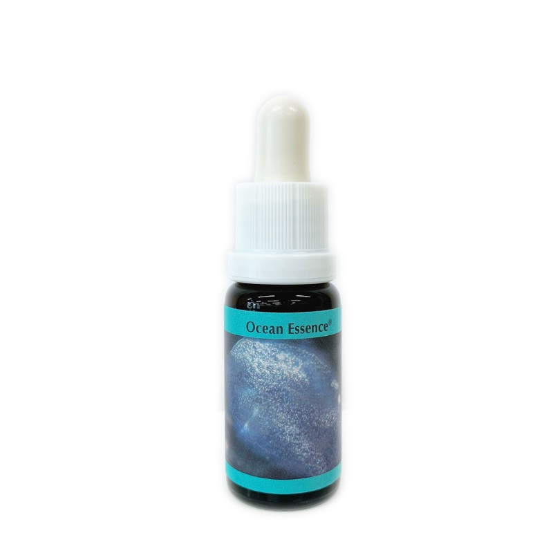 オーシャンエッセンス No5《コルテPHIエッセンス》15ml｜フラワー
