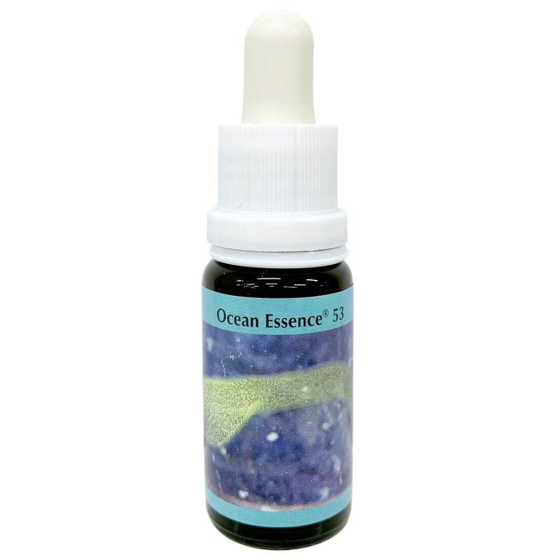 オーシャンエッセンス No5《コルテPHIエッセンス》15ml｜フラワー
