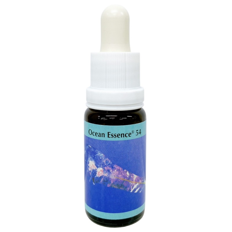 オーシャンエッセンス No40《コルテPHIエッセンス》15ml｜フラワー