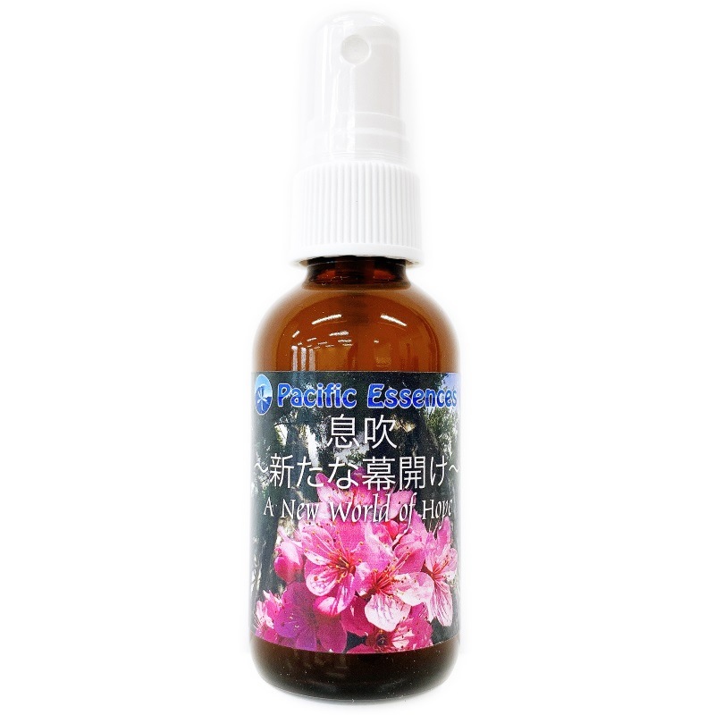 マザーツリーエッセンス《パシフィックエッセンス》30ml｜フラワー