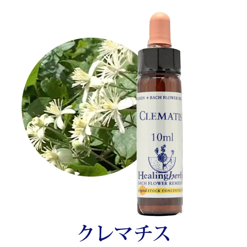 取寄せ品】ワイルドローズ《ヒーリングハーブス》10ml【※順次新ラベル