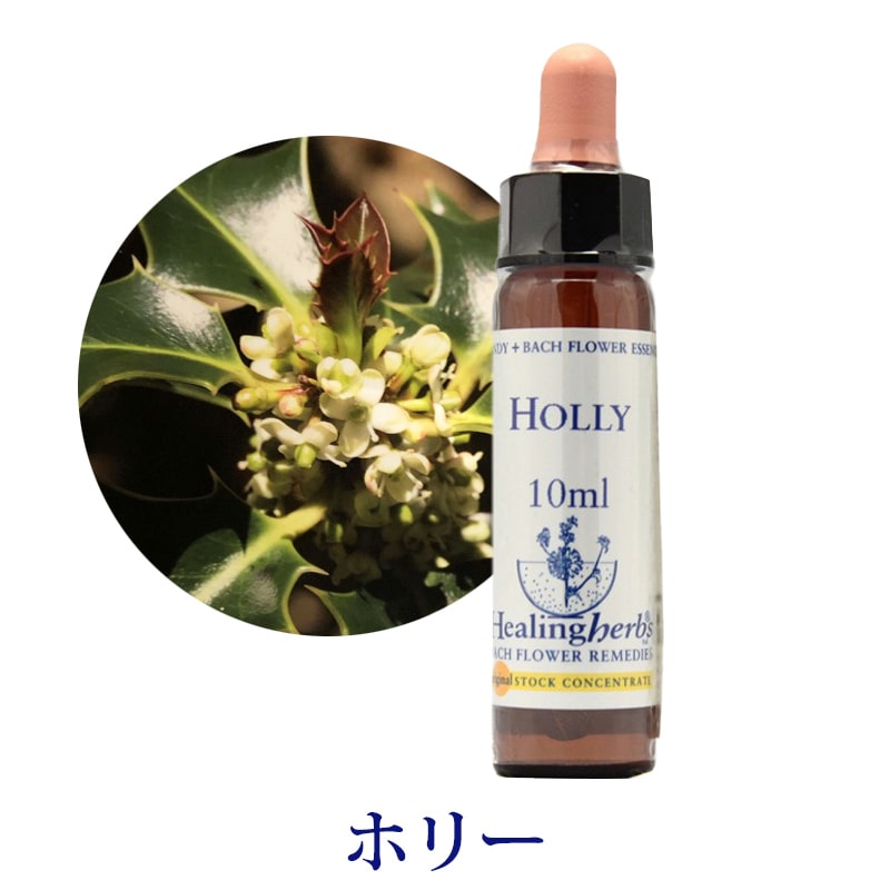 りちゃ♡□30ml×1本＋10ml×5本□ヒーリングハーブス社フラワーエッ