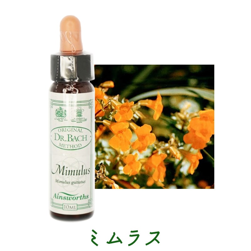 エインズワースバッチフラワーエッセンス｜フラワーレメディ【公式】