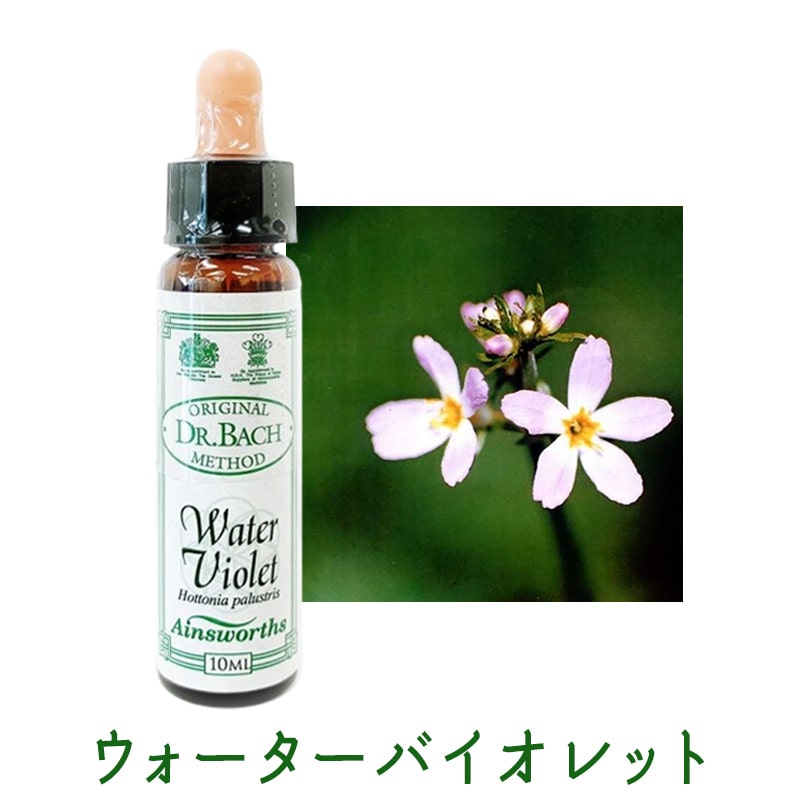 エインズワースバッチフラワーエッセンス｜フラワーレメディ【公式】