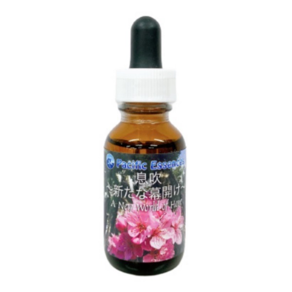 マザーツリーエッセンス《パシフィックエッセンス》30ml｜フラワー