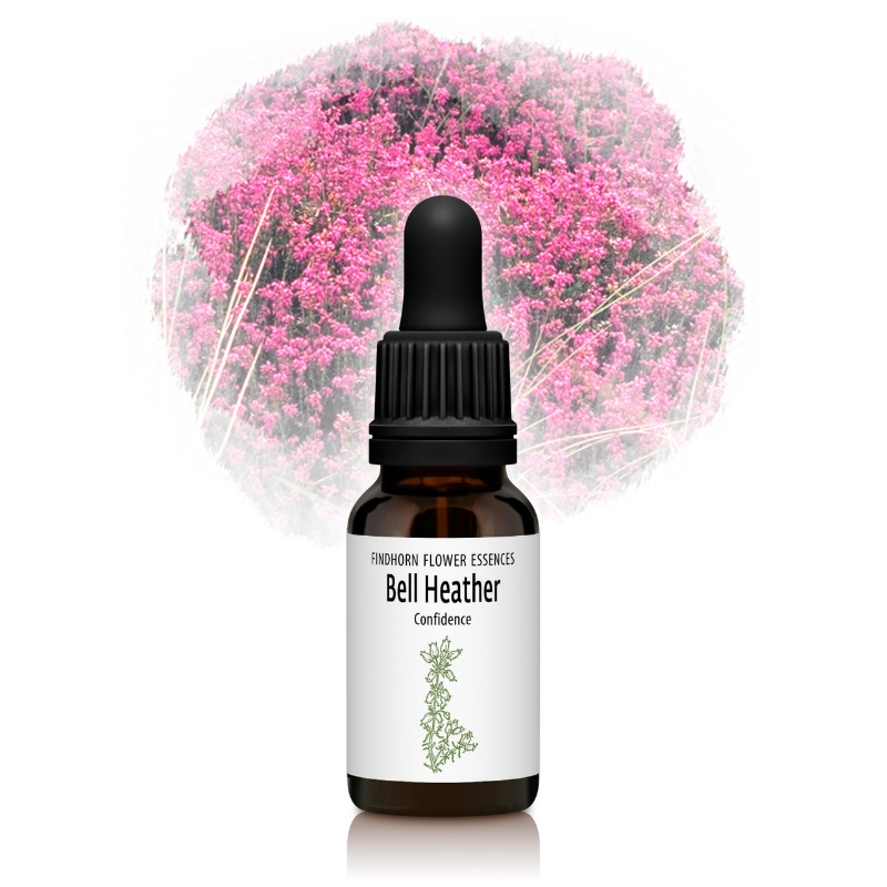 フィンドホーンフラワーエッセンス｜フラワーレメディ【公式】