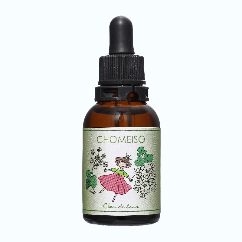 長命草フラワーエッセンス《シャンドゥルール》20ml