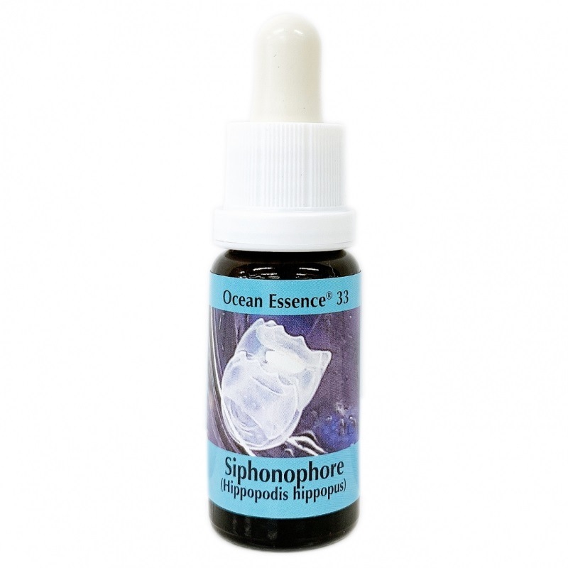 オーシャンエッセンス No20《コルテPHIエッセンス》15ml｜フラワー