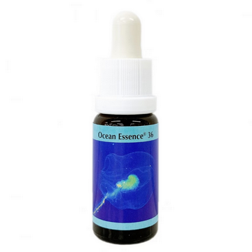 オーシャンエッセンス No51《コルテPHIエッセンス》15ml｜フラワー