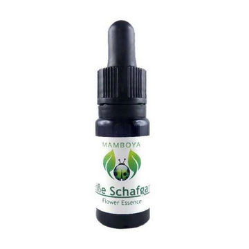 ホワイトノコギリソウ（ヒーロー）《マンボヤフラワーエッセンス》 10ml