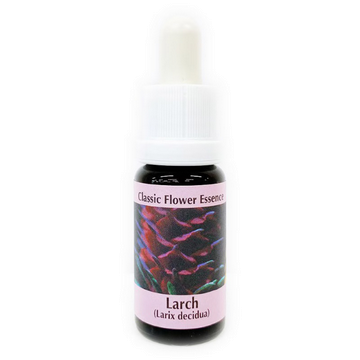 ラーチ《コルテPHIエッセンス》15ml