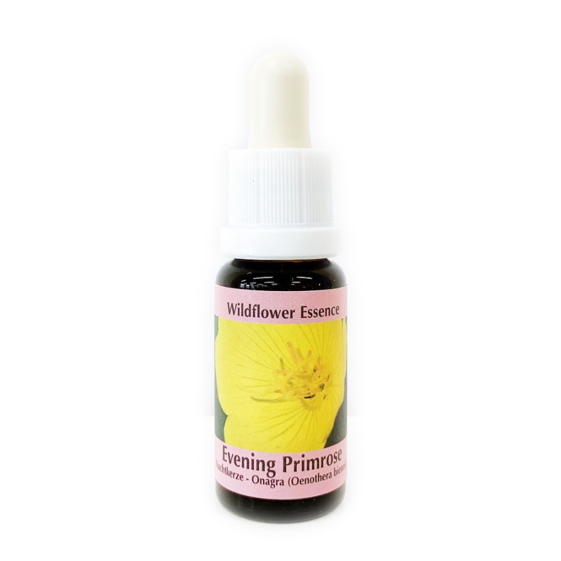 イブニングプリムローズ《コルテPHIエッセンス》15ml