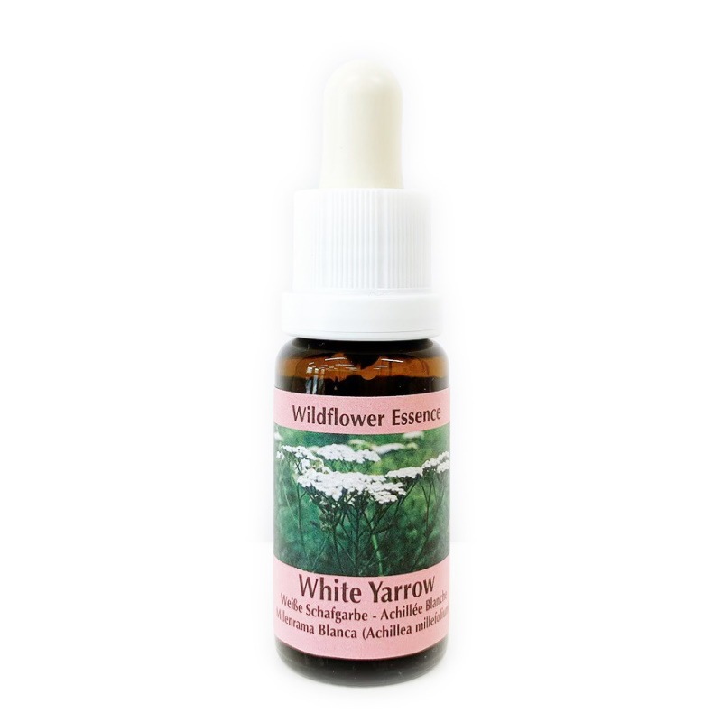 ホワイトヤロー《コルテPHIエッセンス》15ml