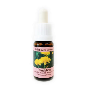 ダンデライオン《コルテPHIエッセンス》15ml